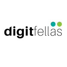 Digitfellas IT Solutions
