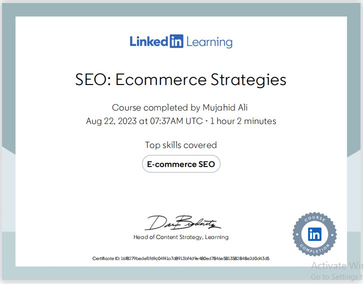 SEO Ecommerce Strategies